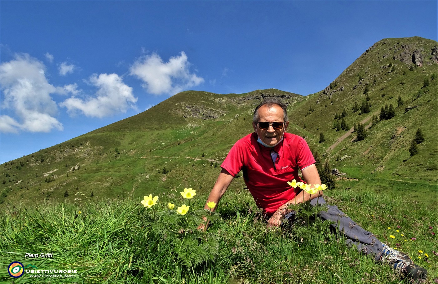 14 Accanto a fiori di pulsatilla alpina sulfurea con vista sul Monte Avaro.JPG -                                